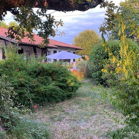 Cool Landes Villa Sainte-Eulalie-en-Born Exteriör bild